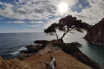 Private Costa Brava Kayak Experience with Snorkel from Barcelona - Meeting your guide and getting kayak-ready (without feeling rushed)