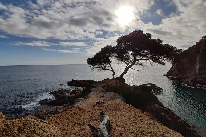 Private Costa Brava Kayak Experience with Snorkel from Barcelona - Meeting your guide and getting kayak-ready (without feeling rushed)