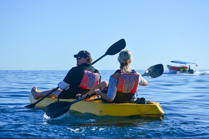 Private Glass bottom Kayak and snorkel at two Bays - Price and Value: What $130 Gets You (and When It Feels Worth It)