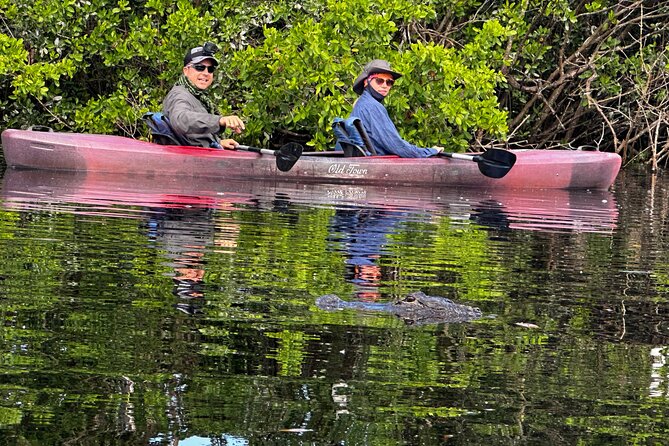 Private Guided Everglades Kayak Tour - Key Highlights at a Glance