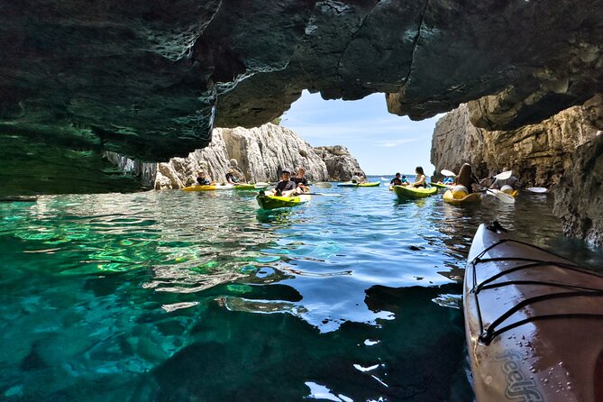 Private kayak tour: Explore the caves and turquoise bays in Pula - Snorkeling in clear water: fish, crabs, octopus, and more