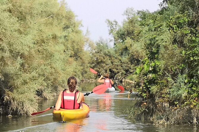 Private Kayak Tour in the Venetian Lagoon - Key Things I’d Remember Before You Go