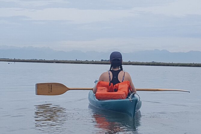 Private Kayak Tour in the Venetian Lagoon - Why Paddle the Venetian Lagoon Instead of the City Streets