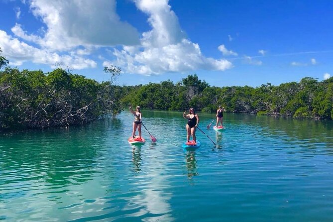 Private Key West Sandbar and Paddle by Boat - Getting There on Stock Island and Starting Easy
