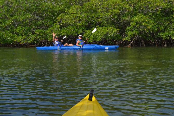 Private Key West Sandbar and Paddle by Boat - Food, Water, and What to Pack (So You’re Comfortable)