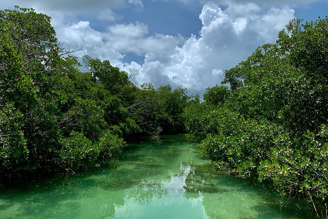 Private Key West Sandbar and Paddle by Boat - The Captains and the Crew Touch
