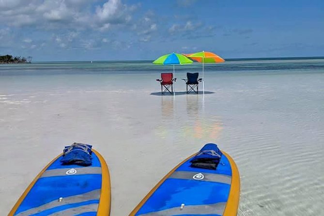 Private Key West Sandbar and Paddle by Boat - The Mangrove Paddle: Calm Creeks, Wildlife Chances, and No Crowds