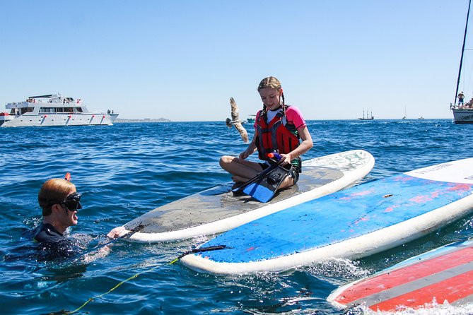 Private Paddleboard and snorkel at the arch - Wind, waves, and the Arch: how the plan adapts