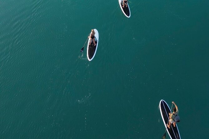 Private Paddleboard Experience in Bacalar - Who this Bacalar paddleboard tour suits best