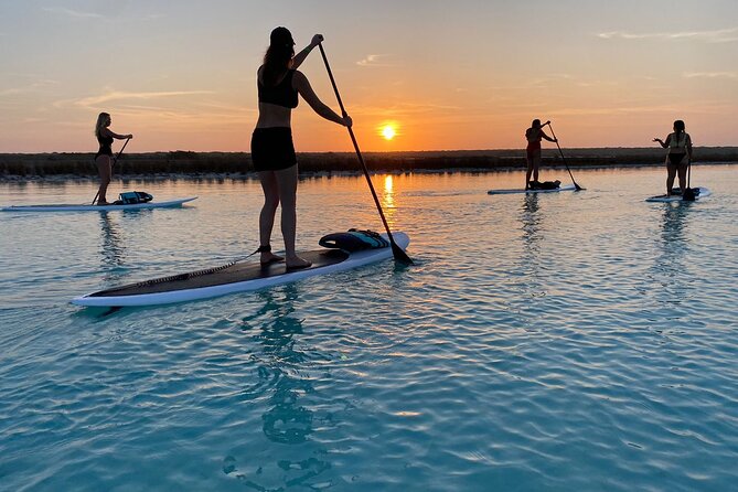 Private Paddleboard Experience in Bacalar - Price and logistics: $32.86, pickup at your hotel, and a tight 3-hour window