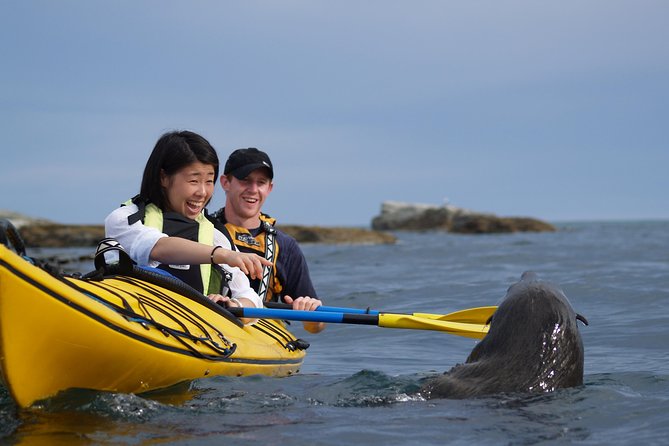 Private Wildlife Kayaking Tour - Kaikoura - Key highlights at a glance