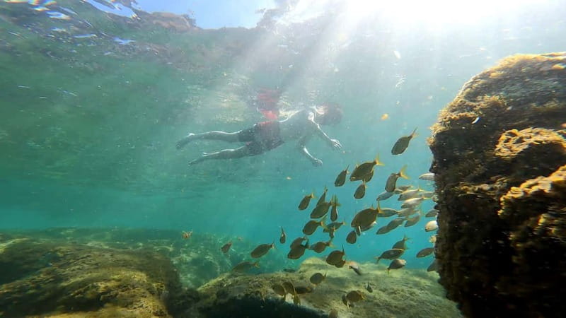 Puerto Mogán: Guided Adventure Kayak Tour in Caves & Snorkel - The 4 km paddle: caves, seabed watching, and optional cliff jumps