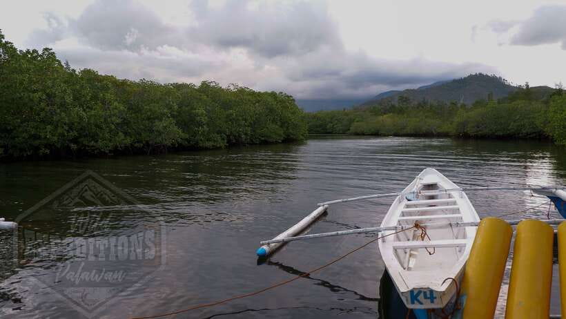 Puerto Princesa: Firefly Watching Paddle Boat Tour & Dinner - Key Highlights Worth Planning For