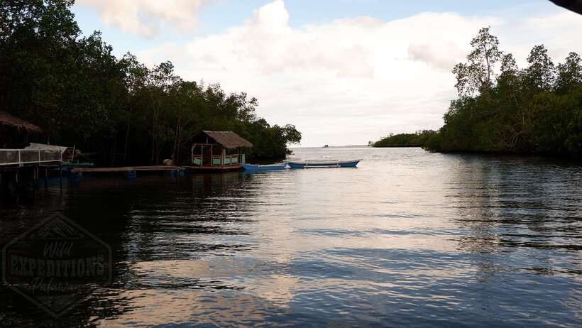 Puerto Princesa: Firefly Watching Paddle Boat Tour & Dinner - From Puerto Princesa Pickup to Baywalk: How the Timing Works