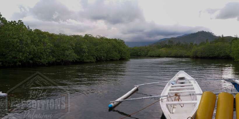 Puerto Princesa: Firefly Watching Paddle Boat Tour & Dinner - Sicsican River Arrival and the Two-Stage Boat Plan