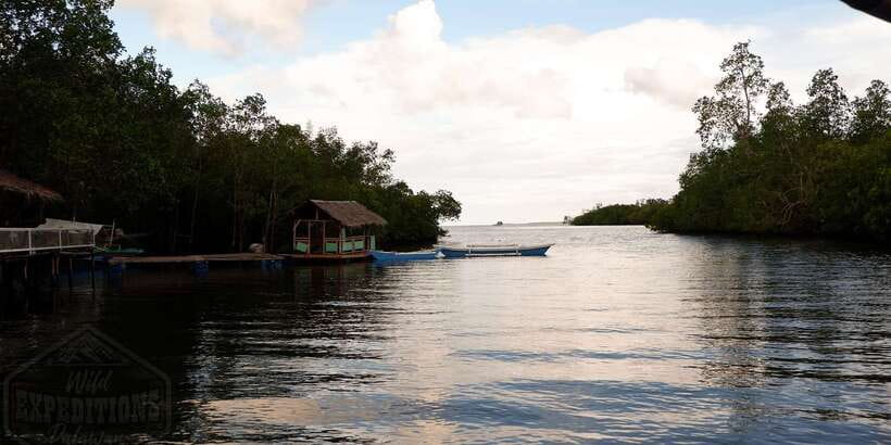 Puerto Princesa: Firefly Watching Paddle Boat Tour & Dinner - Life Vests, No Flash, and How to Photograph the Night Responsibly