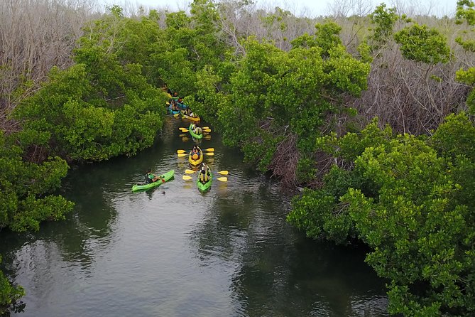 Puerto Rico Bio Bay Kayak Adventure Tour - Fajardo Bio Bay: What You’re Actually Chasing at Laguna Grande