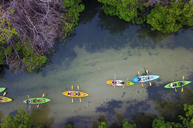 Puerto Rico Bio Bay Kayak Adventure Tour - How Hard Is It: Fitness, Current, and Double-Kayak Reality