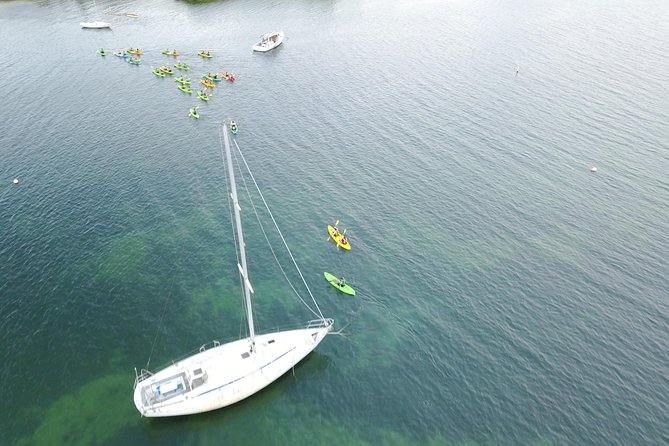 Puerto Rico Bio Bay Kayak Adventure Tour - What’s Included, What’s Not, and What You Should Bring
