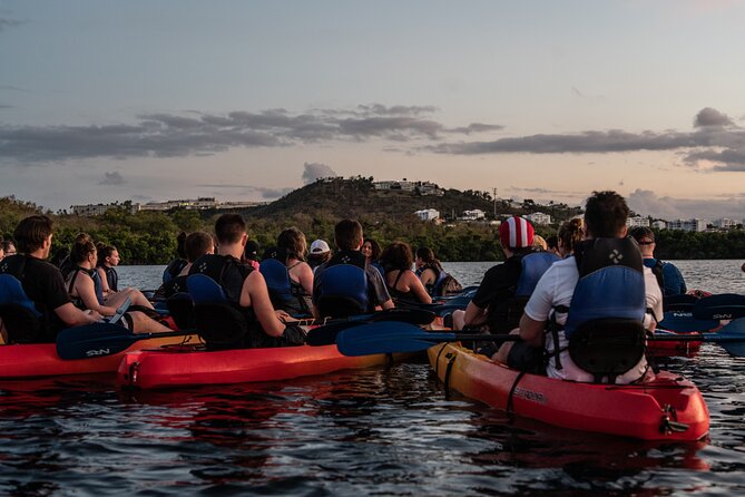 Puerto Rico Sunset Magic: Bio Bay Kayaking Tour from Fajardo - Getting There at Kayak Village: Simple Plan, Big Difference