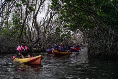 Puerto Rico Sunset Magic: Bio Bay Kayaking Tour from Fajardo - Your 2-Hour Route: Laguna Grande and the Mangrove Canal
