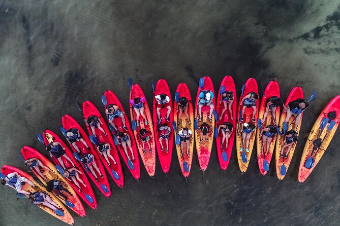 Puerto Rico Sunset Magic: Bio Bay Kayaking Tour from Fajardo - Kayaking Comfort and Safety: Tandem Means Teamwork