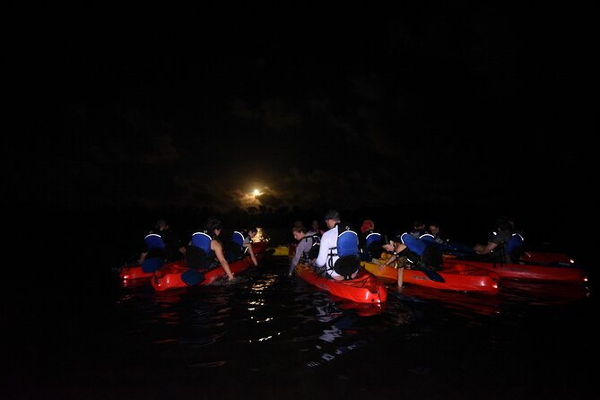 Puerto Rico Sunset Magic: Bio Bay Kayaking Tour from Fajardo - What’s Included, What Isn’t, and Where Value Comes From