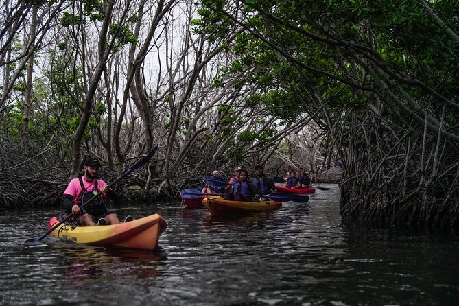 Puerto Rico Sunset Magic: Bio Bay Kayaking Tour from Fajardo - Your 2-Hour Route: Laguna Grande and the Mangrove Canal
