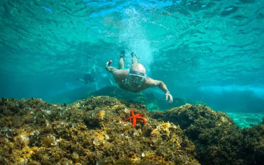 Pula: Kayaking,Snorkeling, Cliff jumping Tour with Wetsuit - Safety briefing in Pula: fast, clear, and geared toward real water time