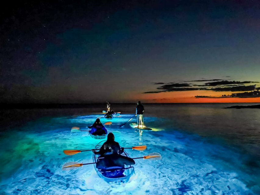 Pula: Night-Time Sea Kayaking Tour in Transparent Kayak - Price and value: what you’re paying for beyond the kayak