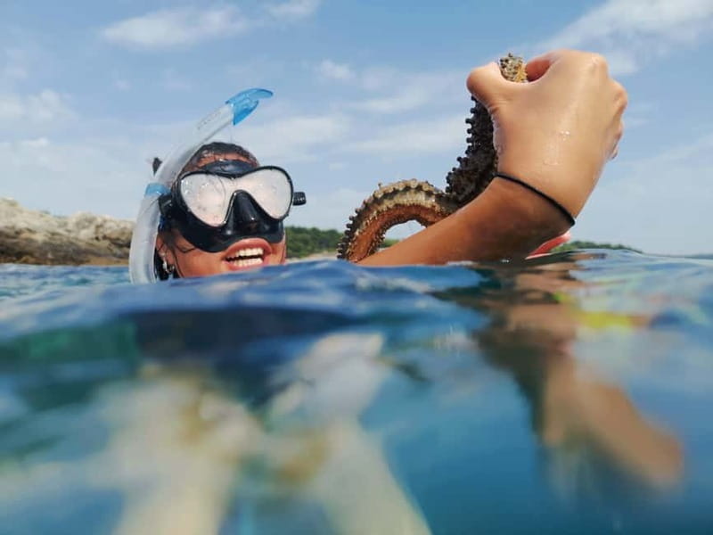 Pula: Sea Adventure – Boat, Kayak, Snorkeling & Cliff Jumps - Key things that make this Pula sea adventure worth it