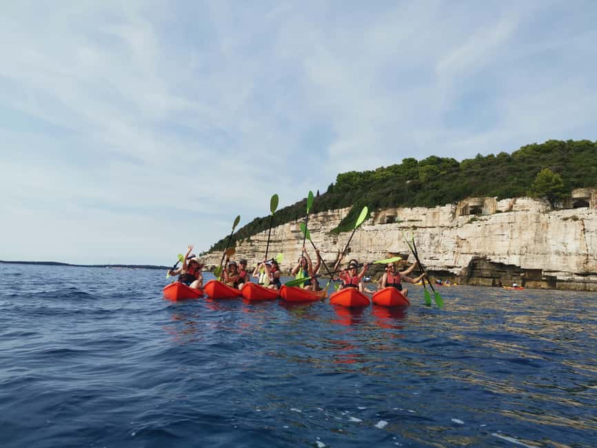 Pula: Sea Adventure – Boat, Kayak, Snorkeling & Cliff Jumps - Wildlife on the cliffs and water: birds, cormorants, and possible dolphins