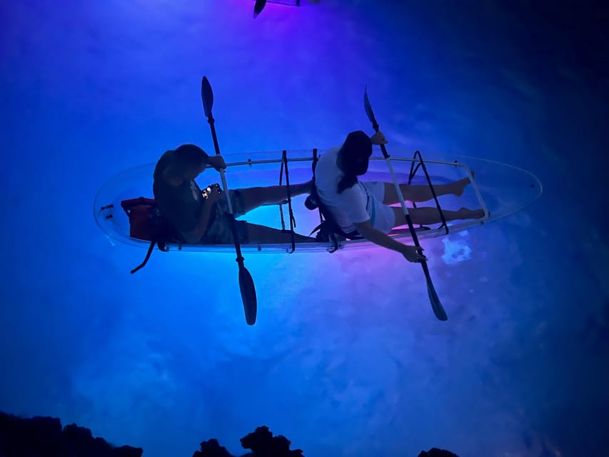 Pula: Sunset/Night Illuminated Transparent Kayak Tour - Marine Wildlife, What You’ll Actually Spot, and How to React