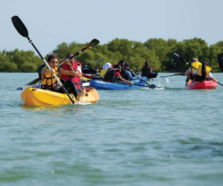 Punta Cana: Los Haitises Hike & Kayaking Mangroves - Mangrove kayaking: slow swamps, birds, and a route to open water