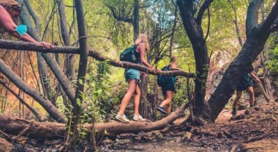 Punta Cana: Los Haitises Hike & Kayaking Mangroves - The hike: humid forest, medicinal plants, and broadleaf variety