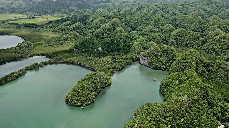 Punta Cana: Los Haitises Hike & Kayaking Mangroves - Should you book? My honest take