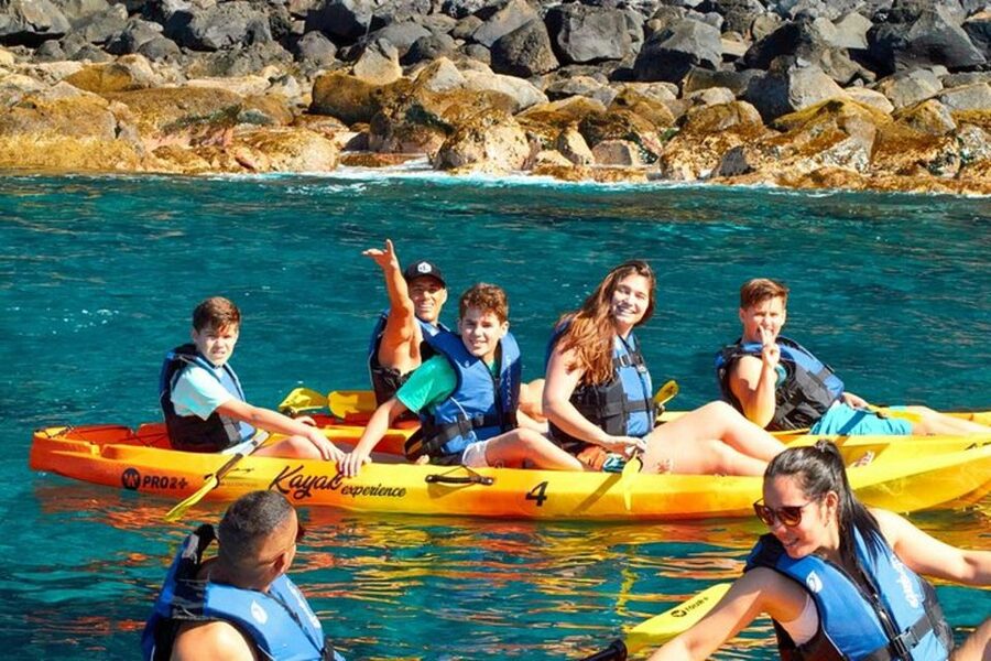 Quinta do Lorde: Kayak Experience in Ponta de São Lourenço - Wildlife and close-up rockwork: cliffs, caves, and monk seals