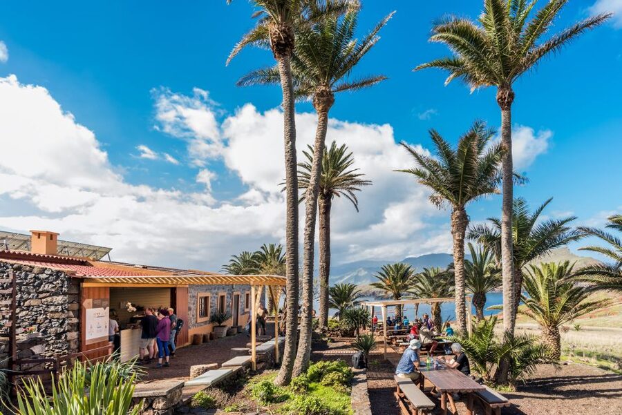 Quinta do Lorde: Kayak Experience in Ponta de São Lourenço - Getting there in Madeira: meeting point, parking, and the bus reality