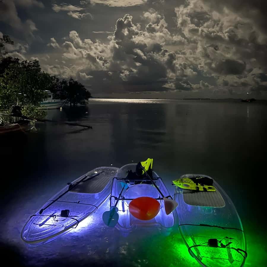 Railay: Illuminated Clear Kayak Night Tour Bioluminescence - What to Bring (and What to Not Forget in Wet Night Conditions)