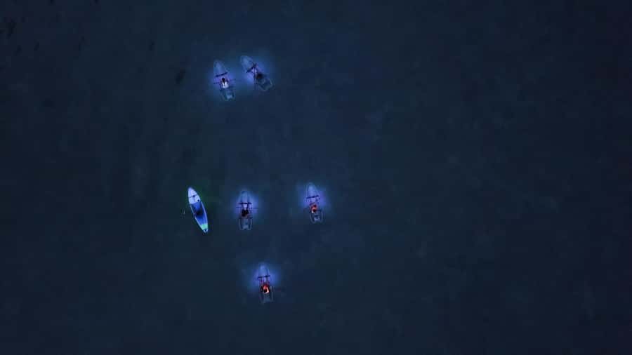 Railay: Illuminated Clear Kayak Night Tour Bioluminescence - Seeing Bioluminescence: What the LEDs and Light-Off Moment Really Do