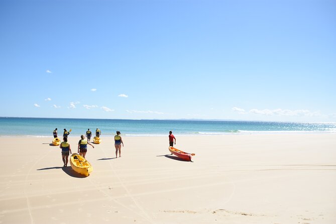 Rainbow Beach: Dolphin & Wildlife Ocean Kayak & Beach 4WD Tour - Great Sandy National Park transfer to Double Island Point