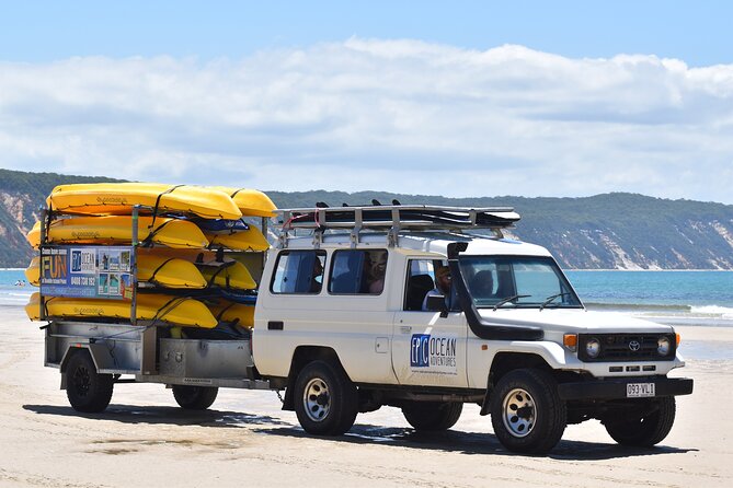 Rainbow Beach: Dolphin & Wildlife Ocean Kayak & Beach 4WD Tour - On-water time: dolphins, humpback whales, turtles and rays