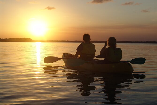 Rainbow Beach: Dolphin & Wildlife Ocean Kayak & Beach 4WD Tour - Wildlife odds: how to stay patient (and what to do)