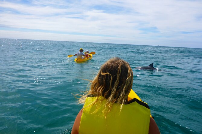 Rainbow Beach: Dolphin & Wildlife Ocean Kayak & Beach 4WD Tour - Price and value: what $99.70 includes (and why it matters)