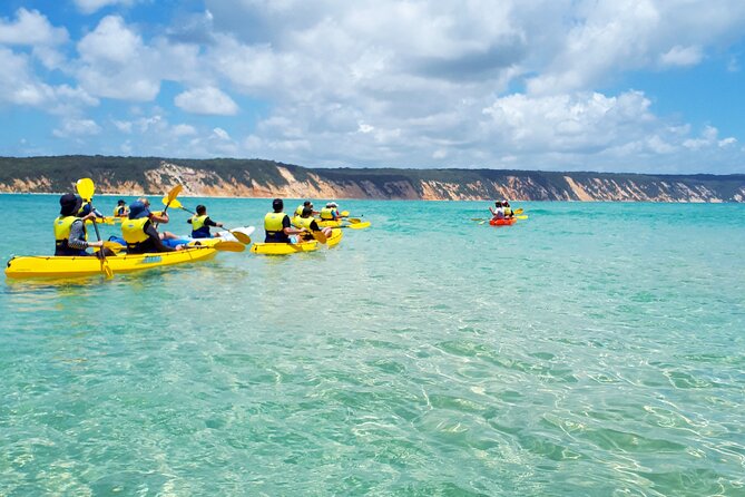 Rainbow Beach: Dolphin & Wildlife Ocean Kayak & Beach 4WD Tour - Ready to book: should you choose this tour?
