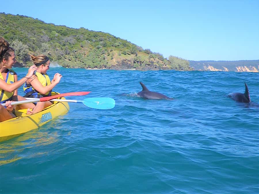 Rainbow Beach: Kayaking with Dolphins and Beach 4WD Tour - Kirchner St to Great Sandy National Park: how the 4WD leg sets the tone