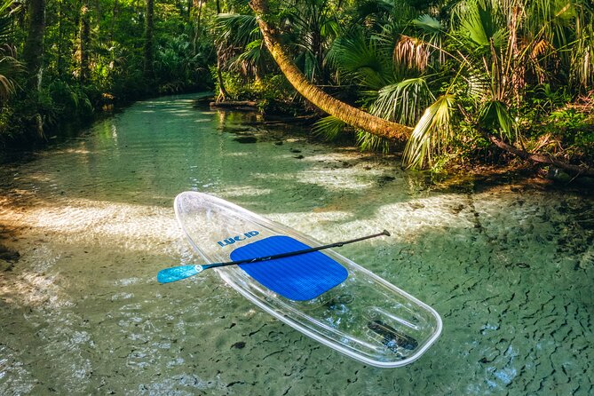 Rainbow Springs: Clear Kayak & Snorkel Eco Tour - Paddling the Rainbow River: From Clear Viewing to Real Wildlife Chances