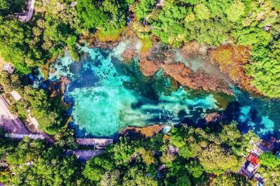 Rainbow Springs: Clear Kayak & Snorkel Eco Tour - Indian River Creek Stop: A Shallow-Spot Break That Feels Like a Mini Reset