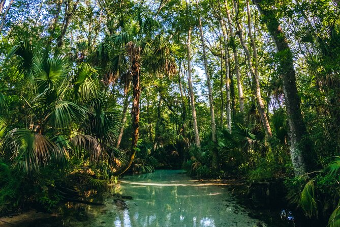 Rainbow Springs: Clear Kayak & Snorkel Eco Tour - What’s Included: Clear Kayak Setup That Actually Covers the Basics