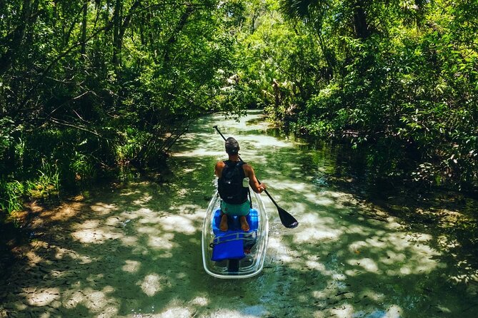 Rainbow Springs: Clear Kayak & Snorkel Eco Tour - Safety and Physical Fitness: Weight Limits Are Strict for a Reason